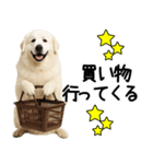 グレートピレニーズ★毎日使う家族連絡（個別スタンプ：6）