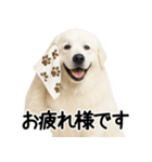 グレートピレニーズ★毎日使う家族連絡（個別スタンプ：15）