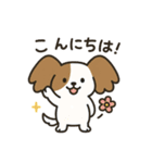 毎日つかえる♪かわいいパピヨン（個別スタンプ：6）