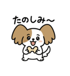 毎日つかえる♪かわいいパピヨン（個別スタンプ：9）