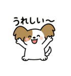 毎日つかえる♪かわいいパピヨン（個別スタンプ：10）