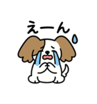 毎日つかえる♪かわいいパピヨン（個別スタンプ：11）
