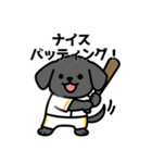 野球好きワンコ 黒ラブ＆パピヨン（個別スタンプ：7）