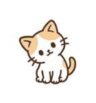 ちいさな子猫の毎日スタンプ（個別スタンプ：22）