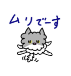 ネコのぴーちゃん 毎日スタンプ（個別スタンプ：4）