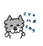 ネコのぴーちゃん 毎日スタンプ（個別スタンプ：5）