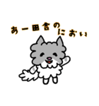 ネコのぴーちゃん 毎日スタンプ（個別スタンプ：7）