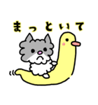 ネコのぴーちゃん 毎日スタンプ（個別スタンプ：10）