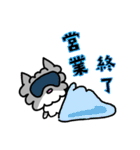 ネコのぴーちゃん 毎日スタンプ（個別スタンプ：11）