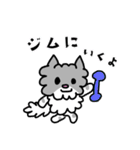 ネコのぴーちゃん 毎日スタンプ（個別スタンプ：14）