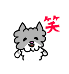 ネコのぴーちゃん 毎日スタンプ（個別スタンプ：31）