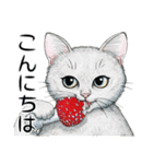 YO-COの猫スタンプ①～愛しい日々～（個別スタンプ：1）