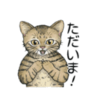YO-COの猫スタンプ①～愛しい日々～（個別スタンプ：5）