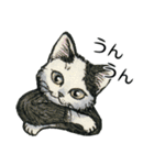 YO-COの猫スタンプ①～愛しい日々～（個別スタンプ：9）