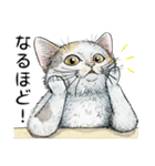 YO-COの猫スタンプ①～愛しい日々～（個別スタンプ：11）