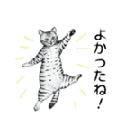 YO-COの猫スタンプ①～愛しい日々～（個別スタンプ：12）