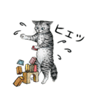 YO-COの猫スタンプ①～愛しい日々～（個別スタンプ：15）