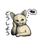 YO-COの猫スタンプ①～愛しい日々～（個別スタンプ：16）