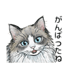 YO-COの猫スタンプ①～愛しい日々～（個別スタンプ：18）
