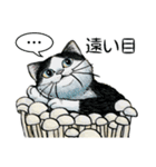 YO-COの猫スタンプ①～愛しい日々～（個別スタンプ：19）