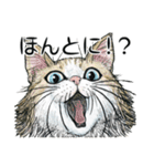 YO-COの猫スタンプ①～愛しい日々～（個別スタンプ：20）