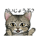 YO-COの猫スタンプ①～愛しい日々～（個別スタンプ：24）