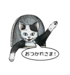 YO-COの猫スタンプ①～愛しい日々～（個別スタンプ：26）