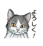YO-COの猫スタンプ①～愛しい日々～（個別スタンプ：27）