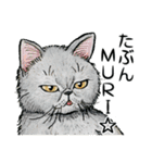 YO-COの猫スタンプ①～愛しい日々～（個別スタンプ：29）
