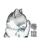 YO-COの猫スタンプ①～愛しい日々～（個別スタンプ：30）