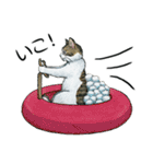 YO-COの猫スタンプ①～愛しい日々～（個別スタンプ：31）