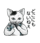 YO-COの猫スタンプ①～愛しい日々～（個別スタンプ：37）