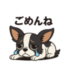 ふくふくチワワ（個別スタンプ：2）