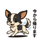 ふくふくチワワ（個別スタンプ：8）