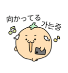 みかん (日本語/韓国語)（個別スタンプ：11）