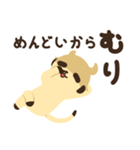 むりむりミーアキャット（個別スタンプ：5）
