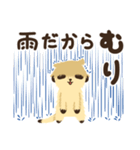 むりむりミーアキャット（個別スタンプ：14）