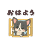 かわいい★チワワ【ブラックタン】（個別スタンプ：2）