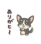 かわいい★チワワ【ブラックタン】（個別スタンプ：8）