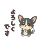 かわいい★チワワ【ブラックタン】（個別スタンプ：11）