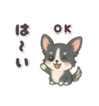 かわいい★チワワ【ブラックタン】（個別スタンプ：13）
