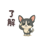 かわいい★チワワ【ブラックタン】（個別スタンプ：14）