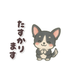 かわいい★チワワ【ブラックタン】（個別スタンプ：16）