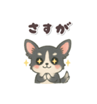 かわいい★チワワ【ブラックタン】（個別スタンプ：19）