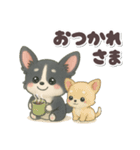 かわいい★チワワ【ブラックタン】（個別スタンプ：22）