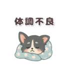かわいい★チワワ【ブラックタン】（個別スタンプ：36）