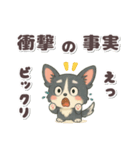 かわいい★チワワ【ブラックタン】（個別スタンプ：39）