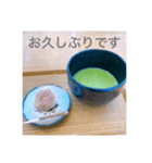抹茶めっせーじ（個別スタンプ：1）
