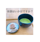 抹茶めっせーじ（個別スタンプ：2）