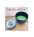 抹茶めっせーじ（個別スタンプ：4）